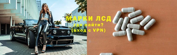 СК Волоколамск