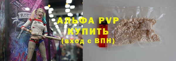 сатива Володарск
