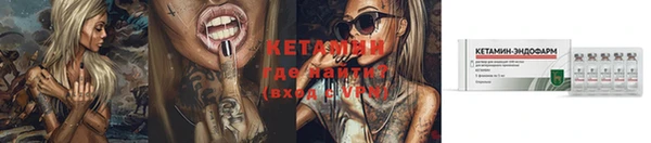 сатива Володарск