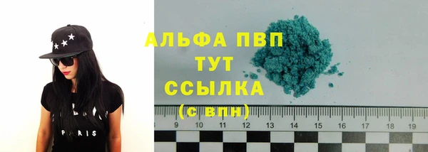 сатива Володарск