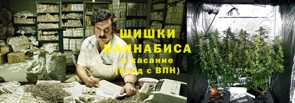 сатива Володарск