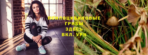 сатива Володарск