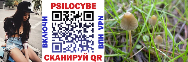 Галлюциногенные грибы Cubensis  Елец 