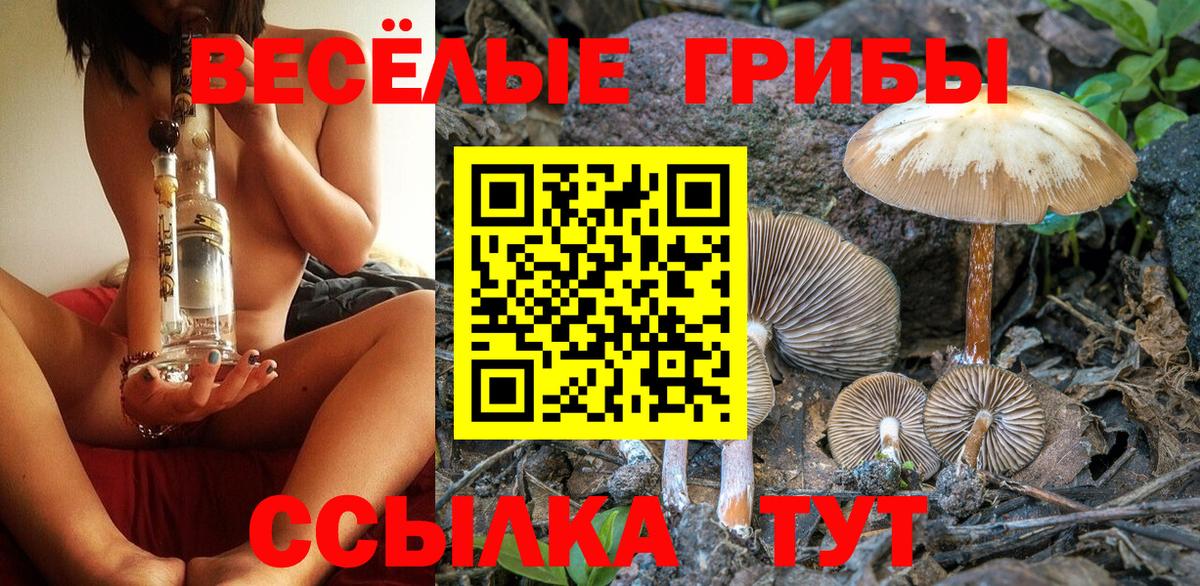 Елец  как найти закладки  Галлюциногенные грибы мицелий  Вход с VPN  Галлюциногенные грибы мухоморы 